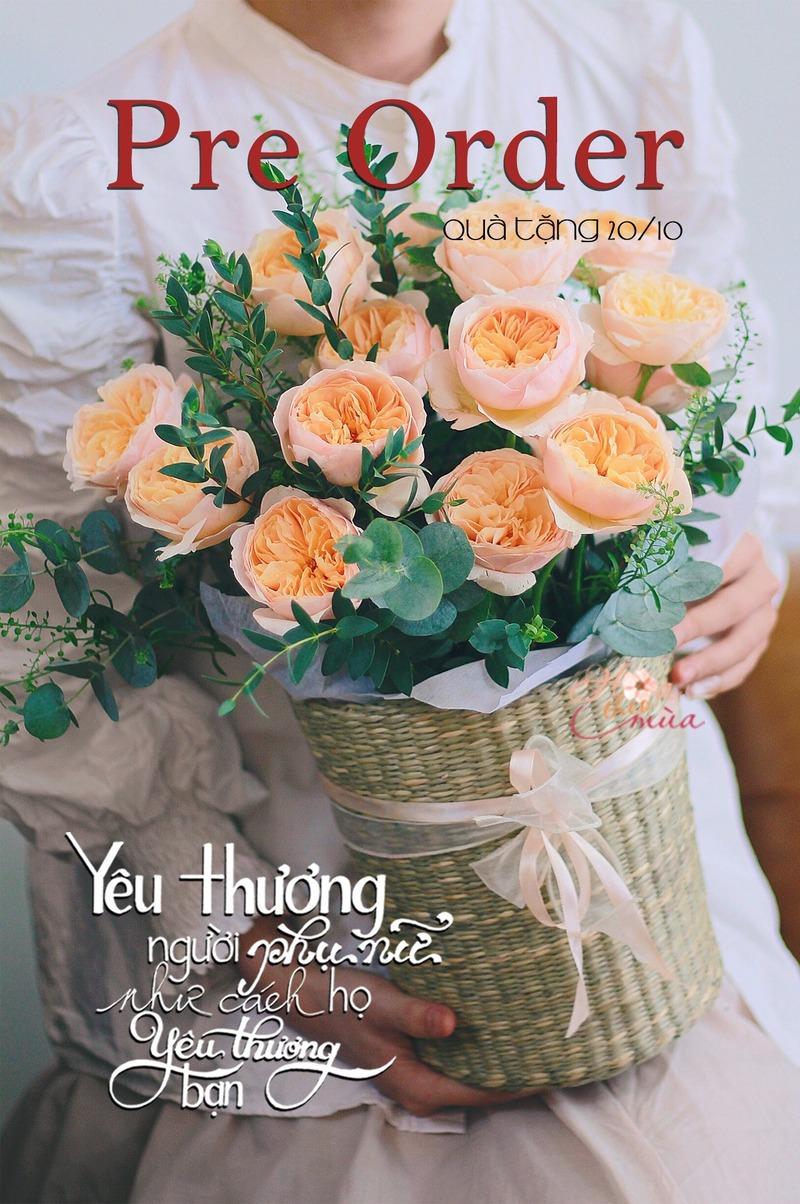 Bó hoa cát tường hồng tím trắng rực rỡ tượng trưng cho may mắn, hạnh phúc và tình yêu trọn vẹn